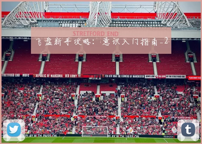 飞盘新手攻略：意识入门指南_2