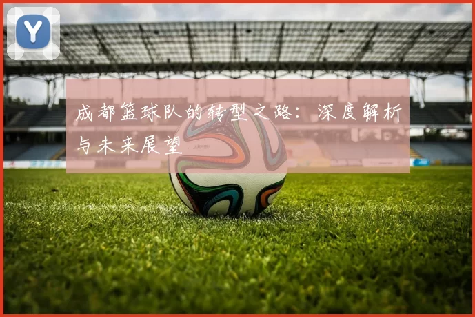 成都篮球队的转型之路：深度解析与未来展望