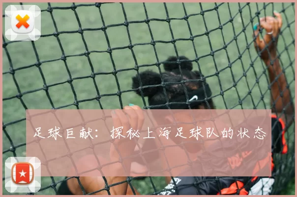 足球巨献：探秘上海足球队的状态