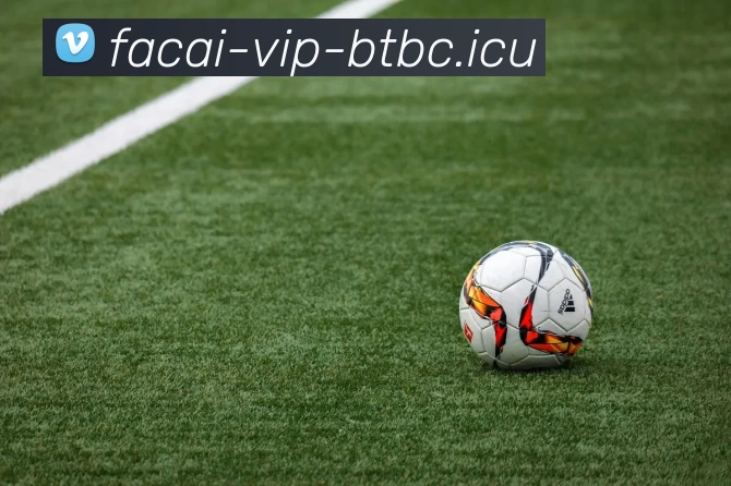 MK体育平台生态图